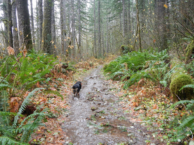 38606576442_3da9c0f804_z