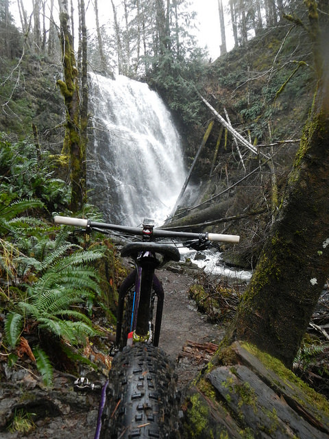 38542945764_8c5b0d1972_z