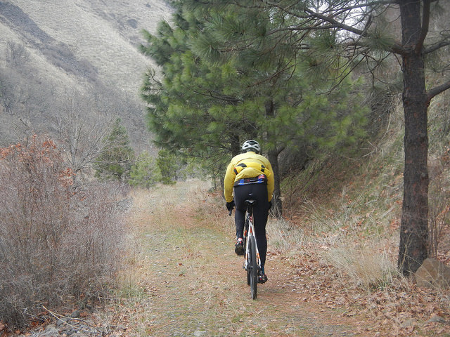 38937375862_bba55ecd52_z