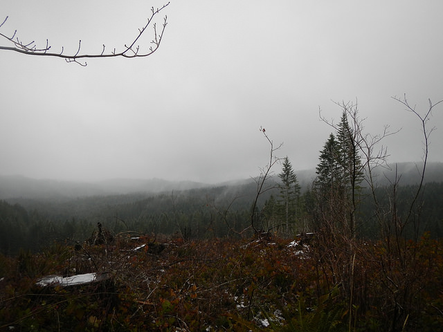 39250924731_b91a5b4506_z