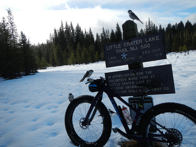 24532599077_e247cfa8f0_z