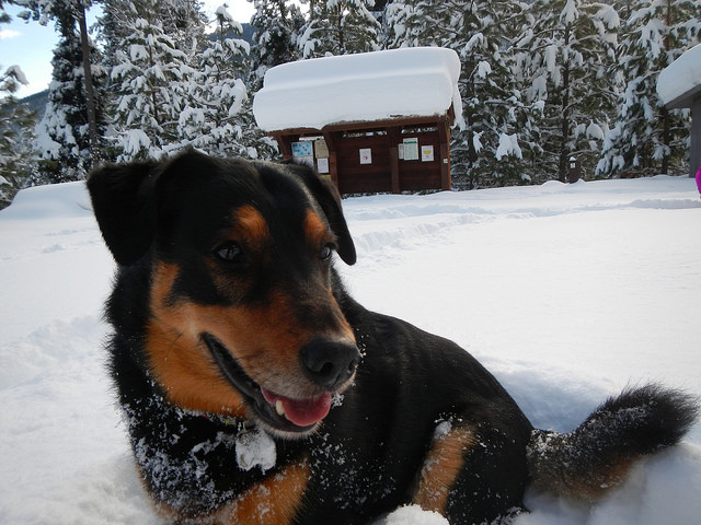 24824069107_542e2c315c_z