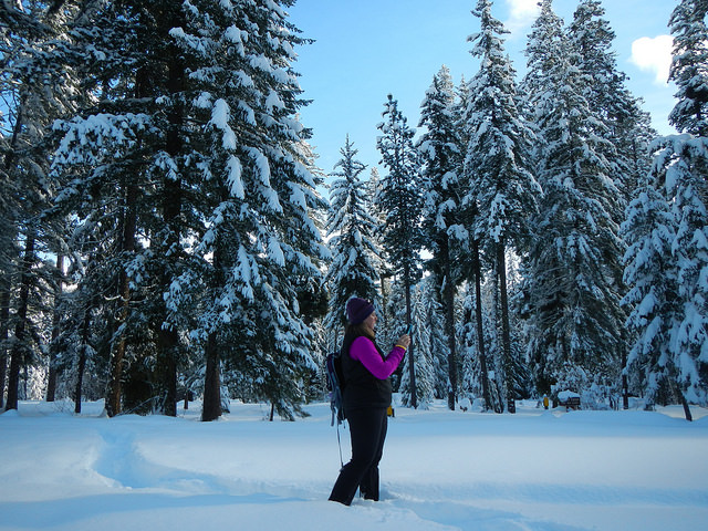 24824151867_4dfe24a4b4_z