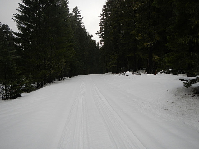 25528092598_6e42c6c85e_z