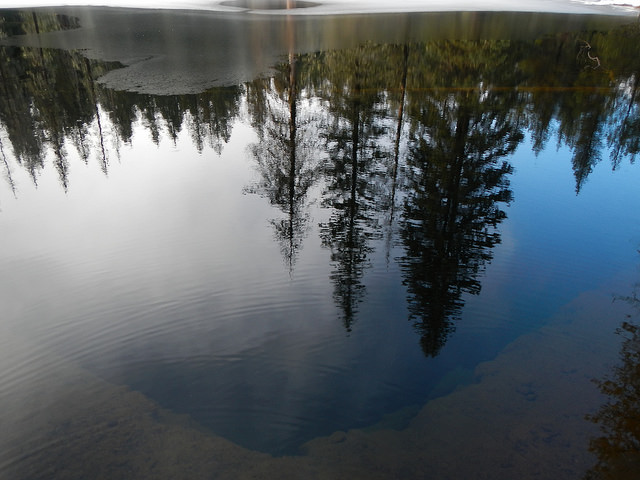 38520322575_f04a7c4054_z