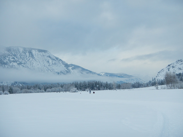 38762260815_8aacaf2108_z