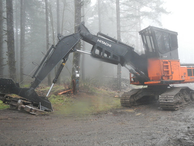 38923402345_ceda5329e6_z