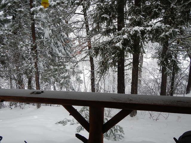 38950724204_ff275d7062_z