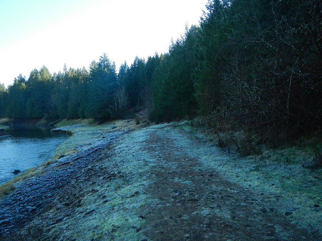 39439123171_8bb1cea80b_z