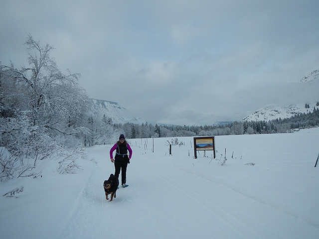 39659707741_b698c72180_z