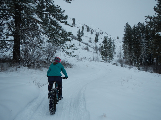 39692502331_a3652bd9e3_z