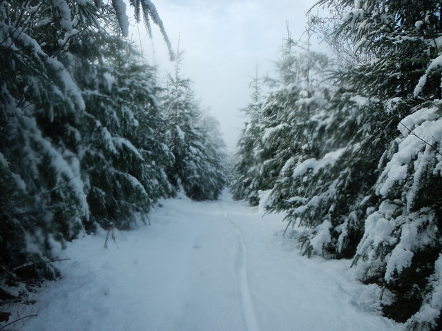 26477981298_7fbb726b49_z