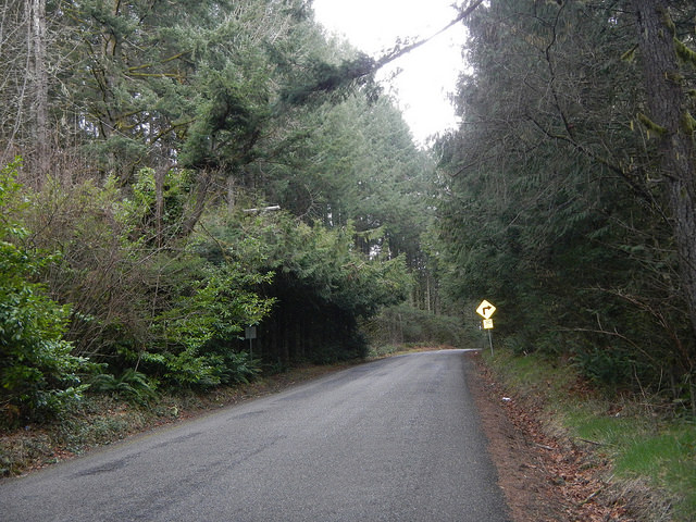 39316529455_ea9634ff81_z