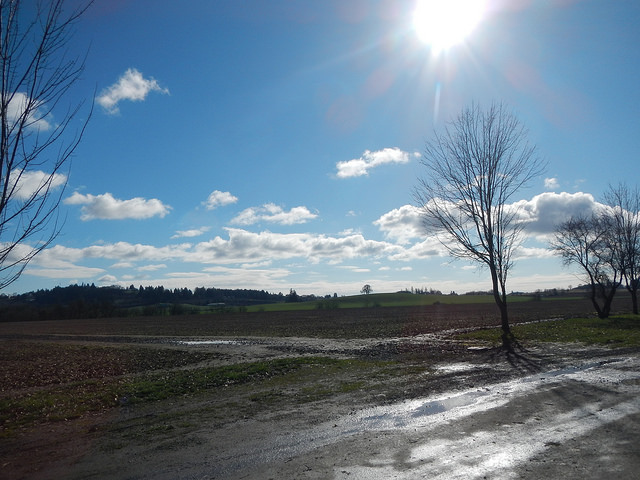 39473814295_f27ee53c24_z