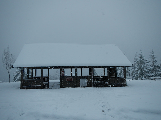 40303789712_7ac7e126ee_z