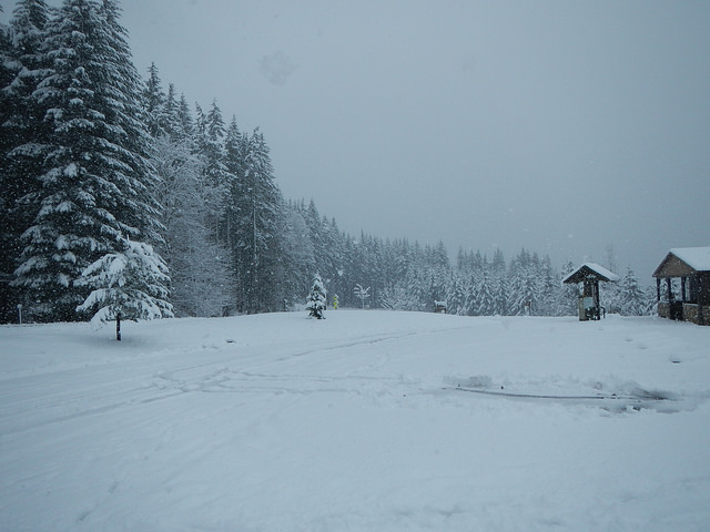 40303792372_5c31164d48_z