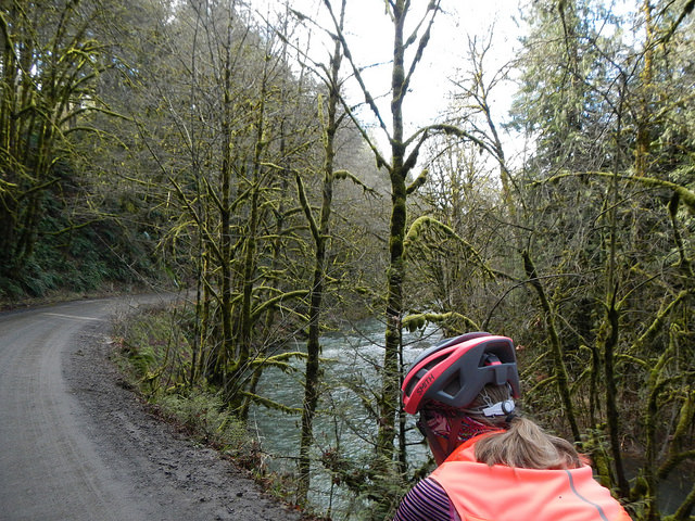 25746745347_bb4529a62f_z