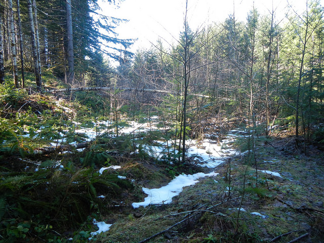 25880027167_d195193e1c_z