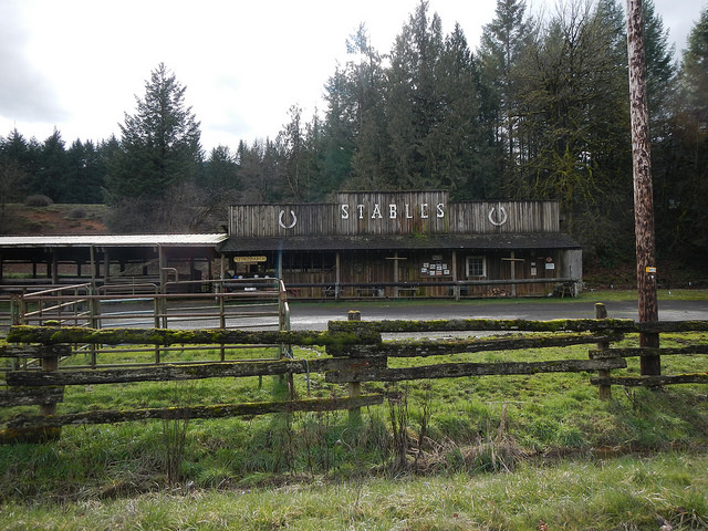 40575127362_cc47a182c5_z