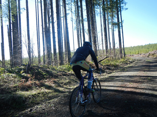 40751008961_5554dde91c_z