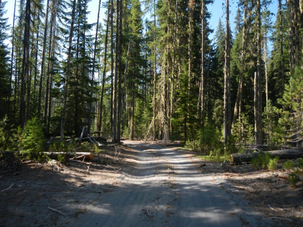 29198814747_70f9582049_b