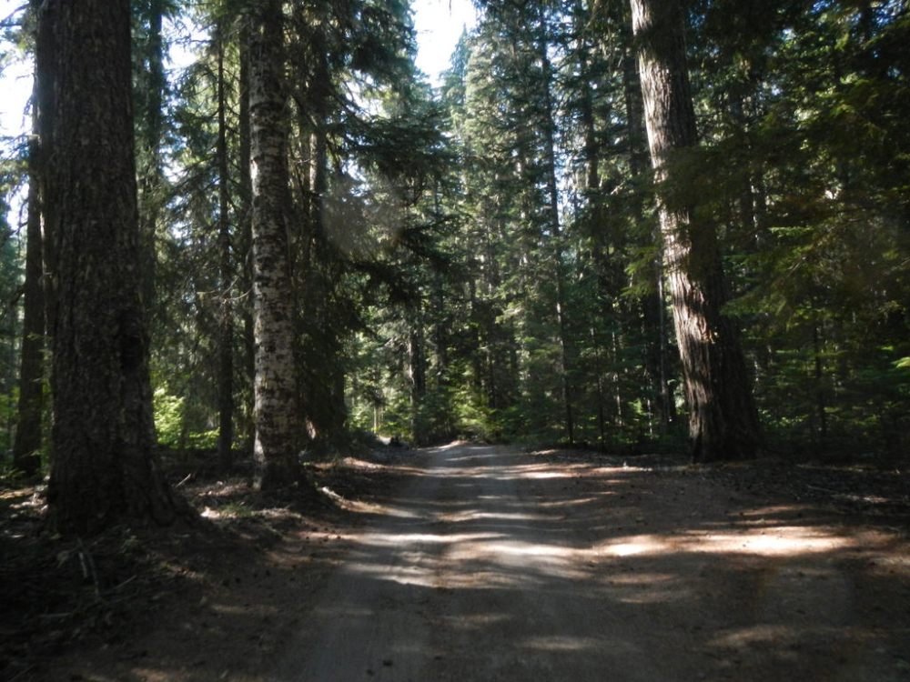 29198829827_8bc32b7106_b1