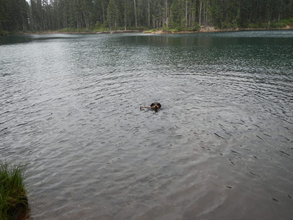 43278592774_18208038e8_b