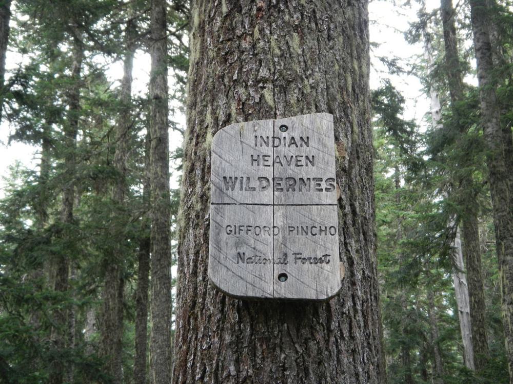 43278682404_3d8c5744ff_b