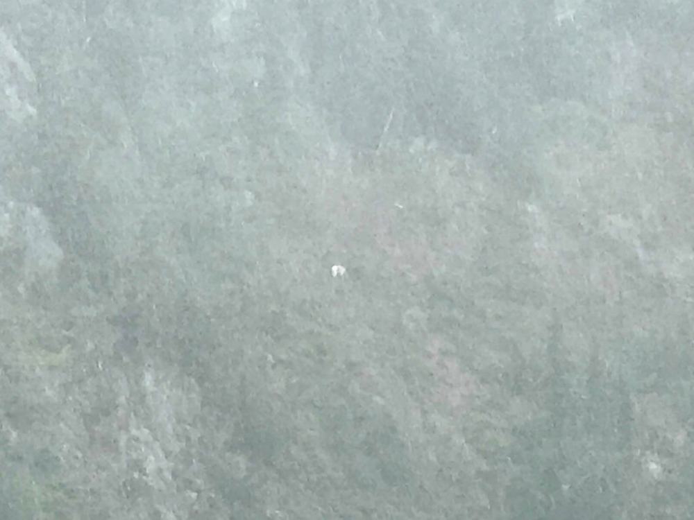 44000957251_31eb14e858_b