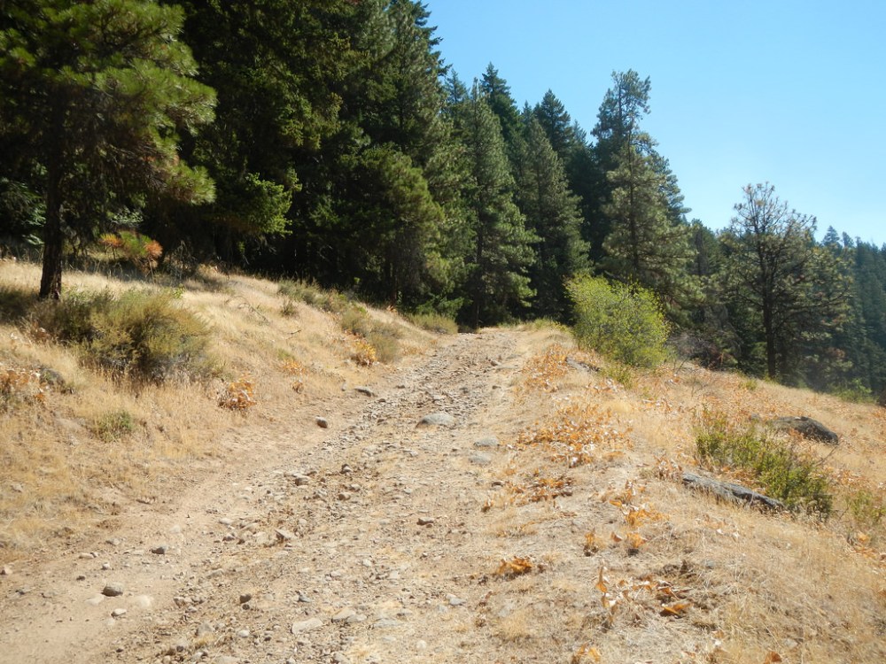 44087980672_426afaa52c_b