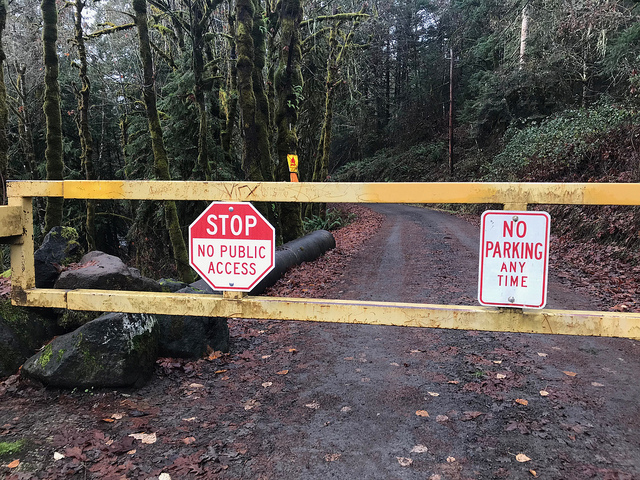 31390765027_3f2c1ee26d_z