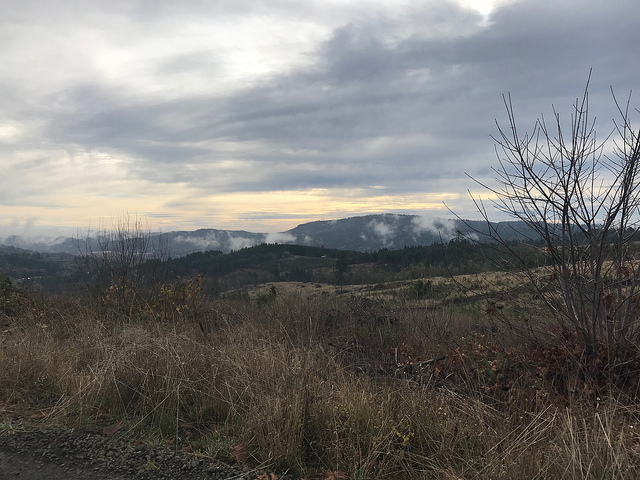 45417296415_44f2aeb9d3_z