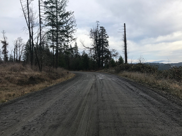 45417296895_9d8a775231_z