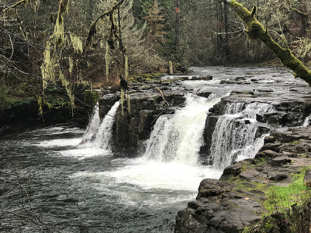 45417298015_8dfc0eb07b_z