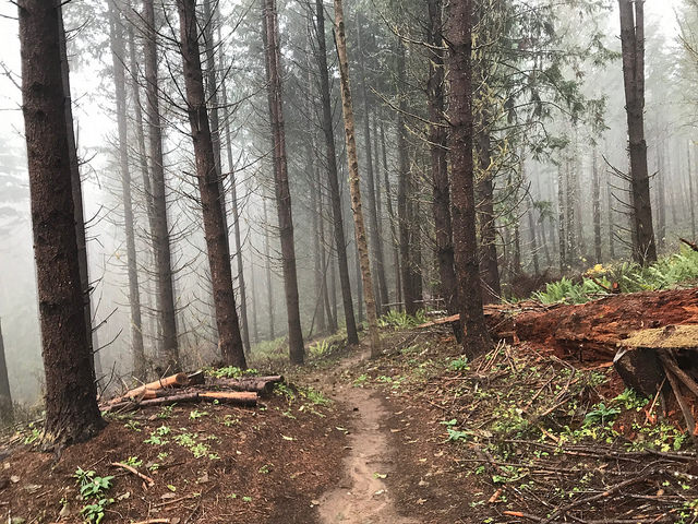 46152819631_d7b44204d0_z