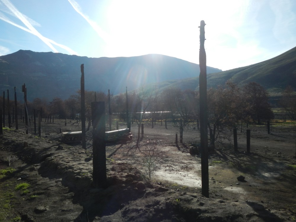 33024731898_40d6e0df25_b