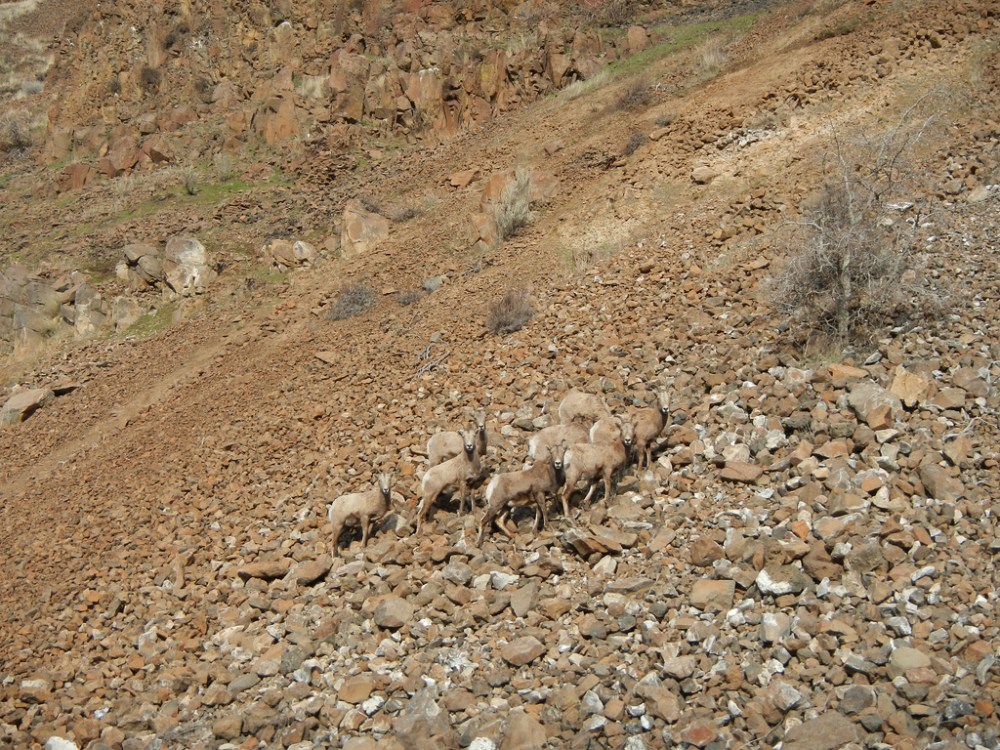 46848045162_d39bcdb4cd_b