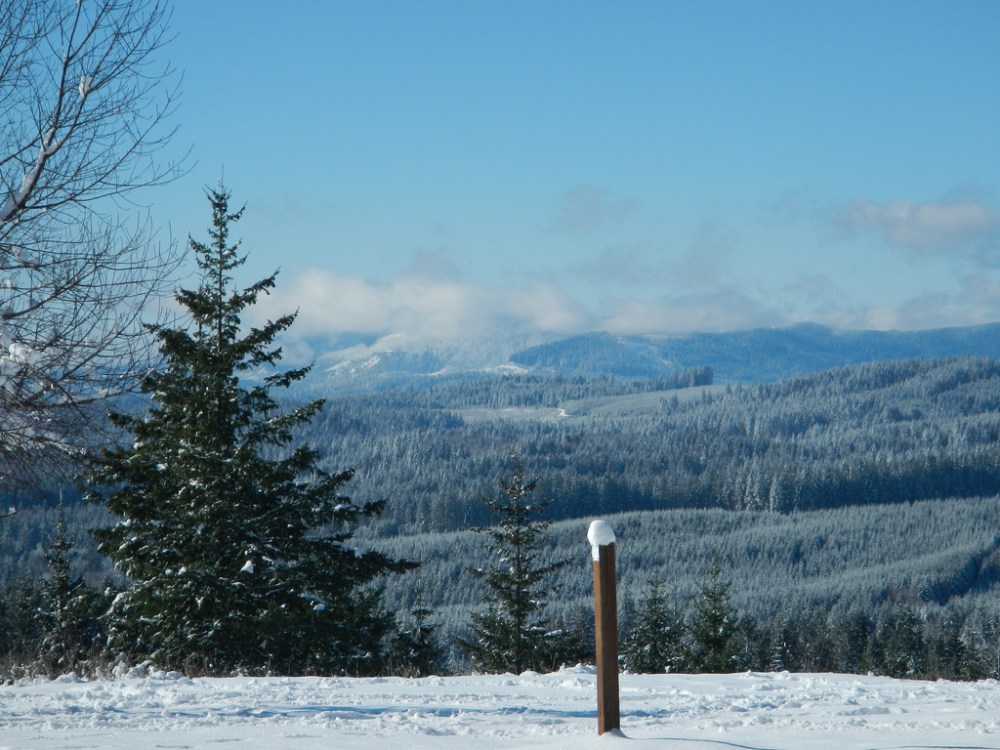 32112324327_1426dc96f3_b