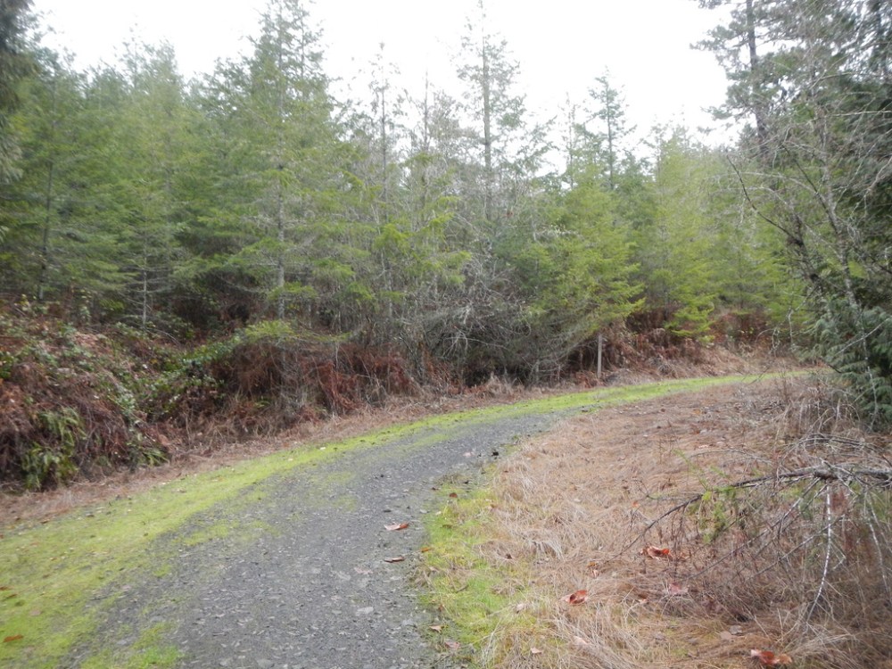 32259759957_b3e044a774_b