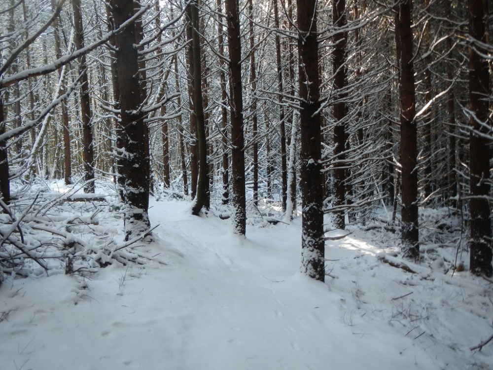 46330188264_cb10c12f64_b