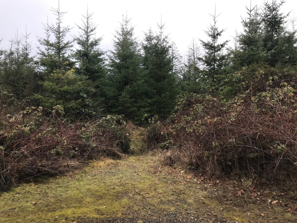 46477489514_67f70e3343_b