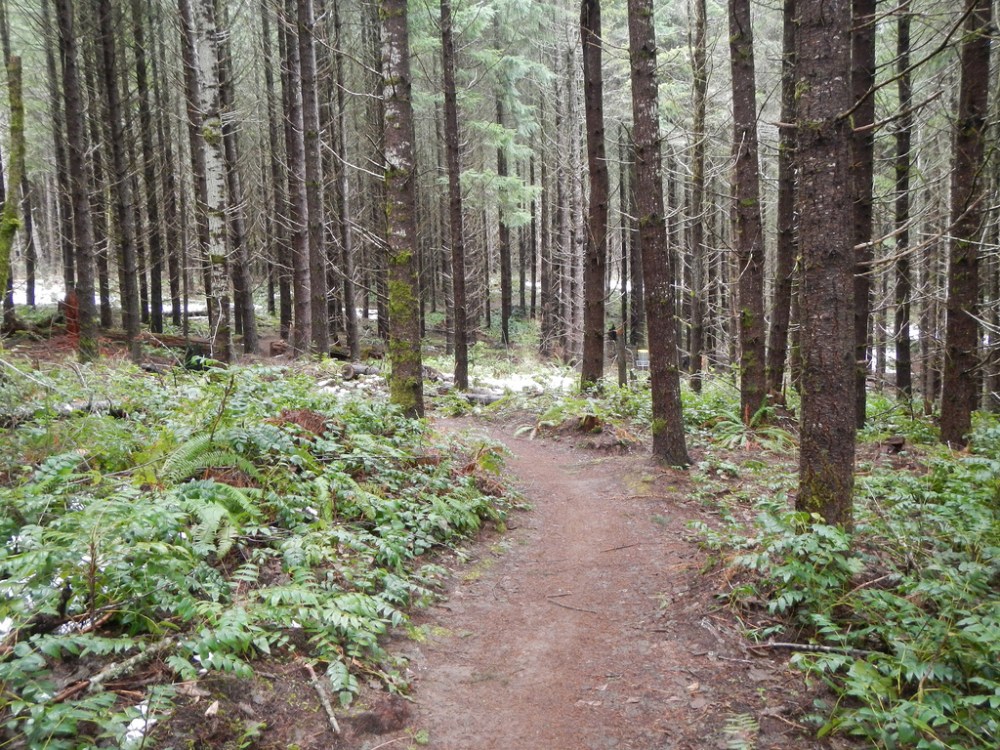 47089106522_bf17a4b1bc_b