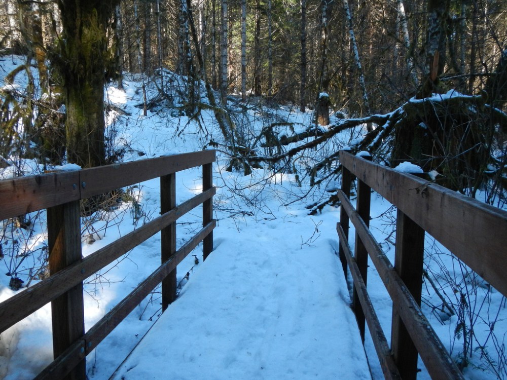 33397407248_1bf57b8da9_b