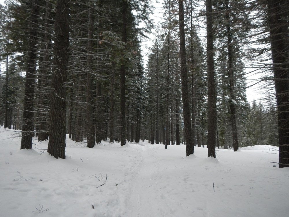 33497151728_b6f372ff7a_b