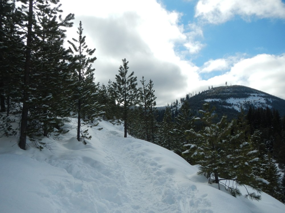 46650212764_3ac998f00c_b