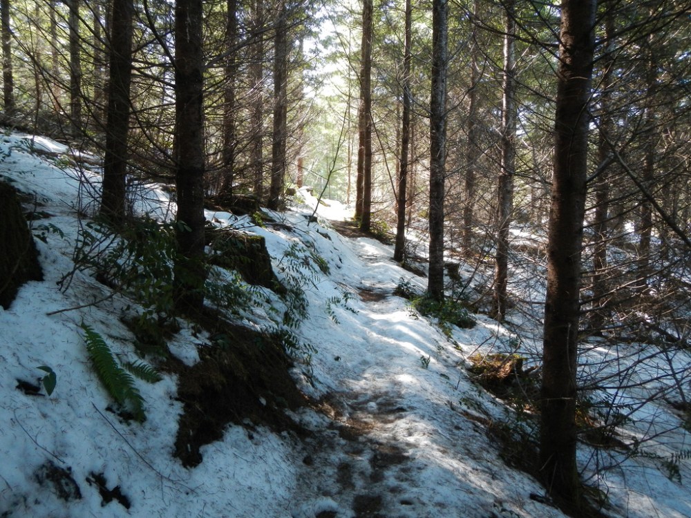 47221180512_41f9421b2d_b