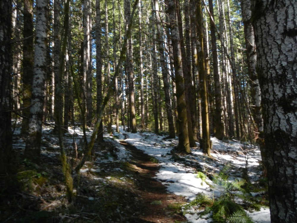 47273204661_bf64c78545_b