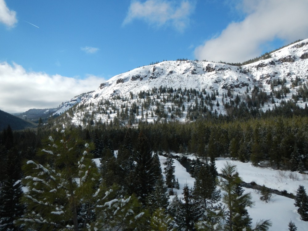 47320542272_295fd74a80_b