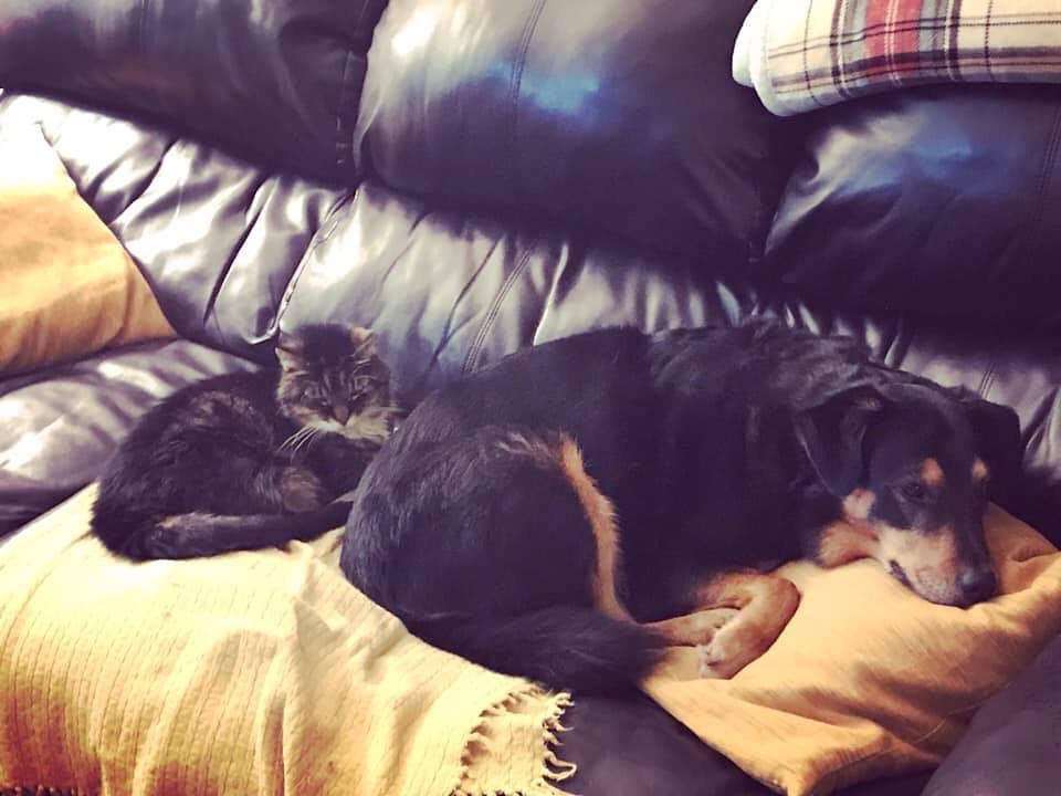 32694595527_828dfddb04_b