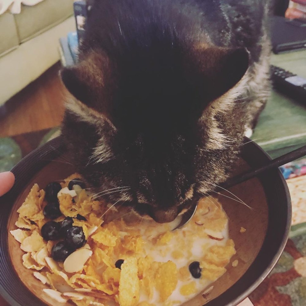 32694595587_4feaea0b55_b